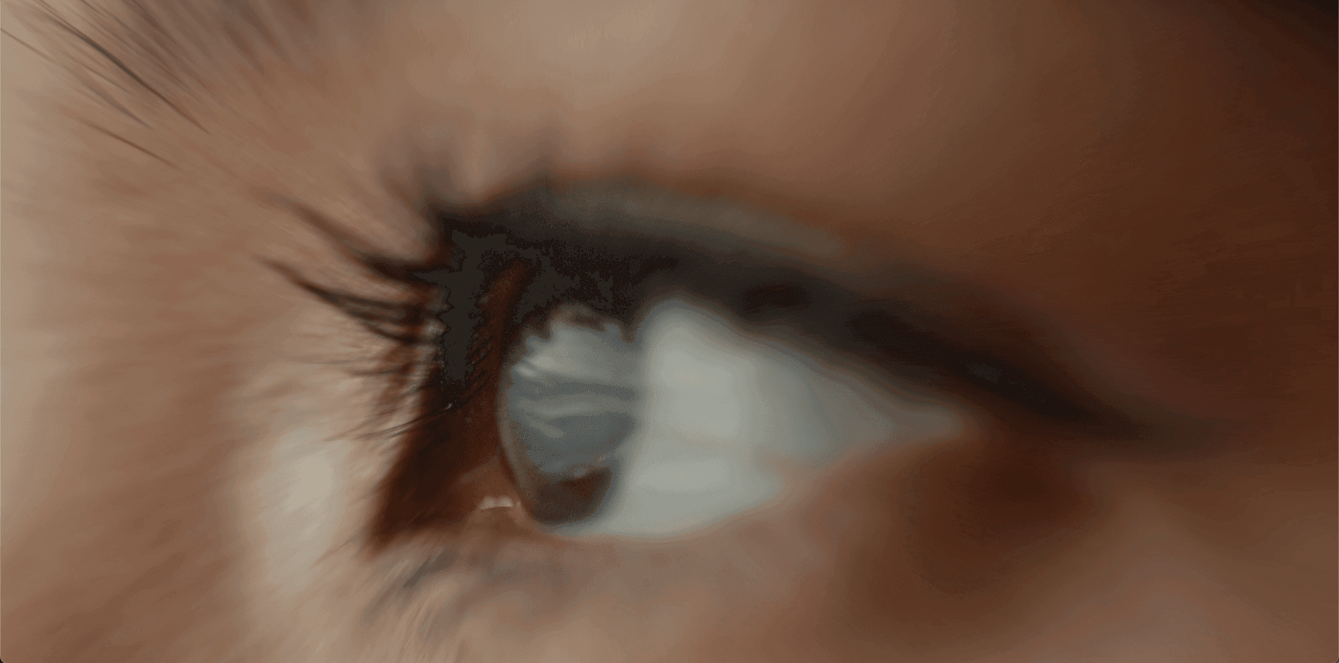 porfolio-featured-image-undefined