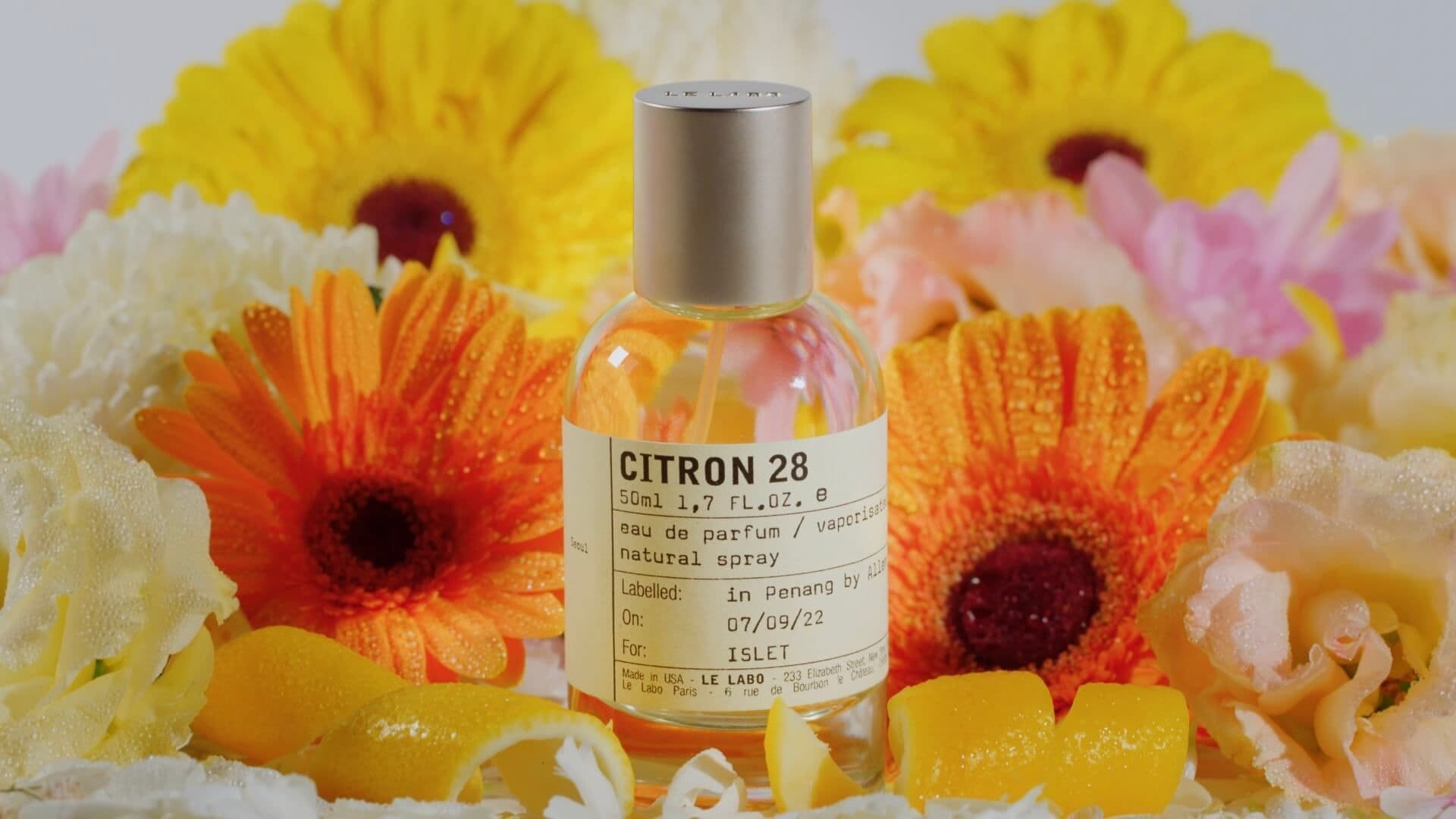 porfolio-featured-image-undefined